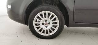FIAT Grande Punto usata 15