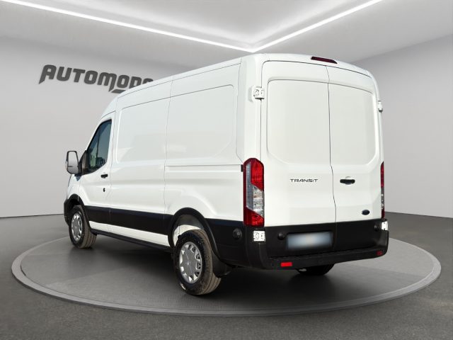 FORD Transit usata, con Fendinebbia