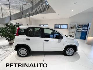 FIAT Panda usata, con Alzacristalli elettrici
