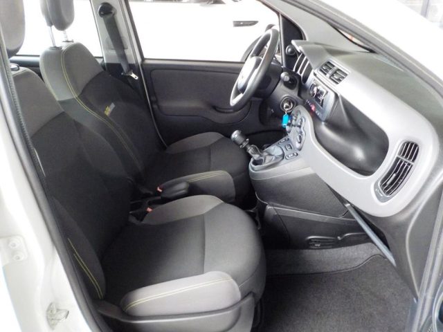 FIAT Panda usata 19
