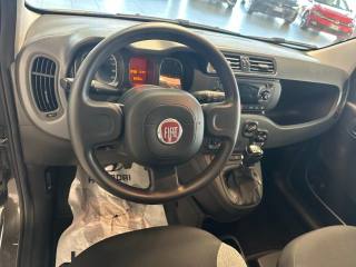 FIAT Panda usata, con Controllo trazione
