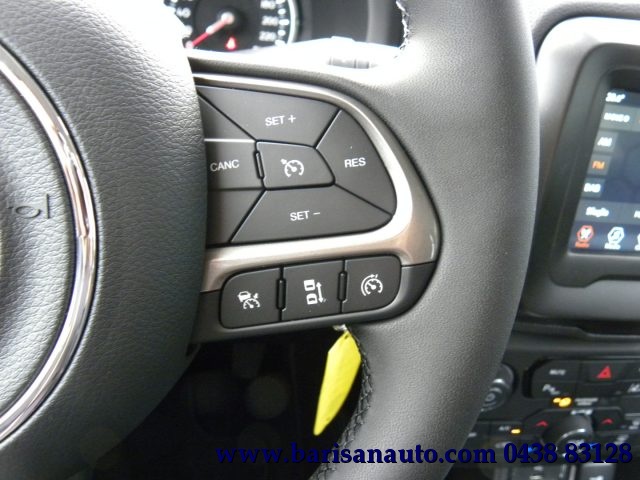 JEEP Renegade usata, con Fendinebbia