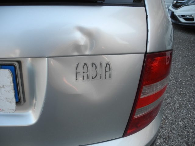 SKODA Fabia usata 53