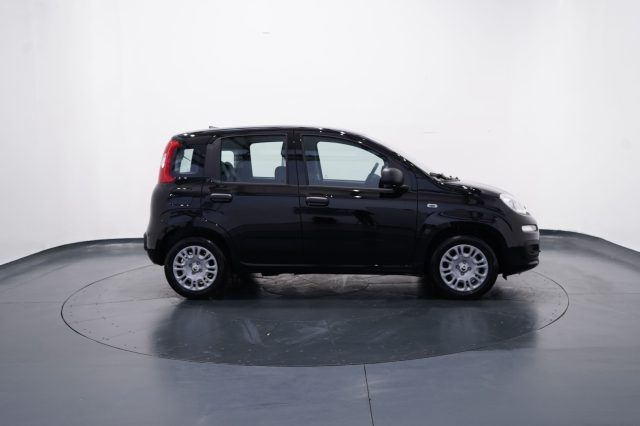 FIAT New Panda usata, con Climatizzatore