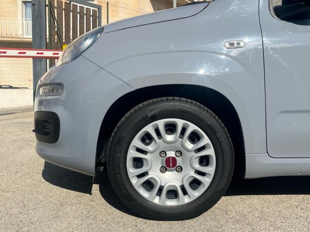 FIAT Panda usata 13
