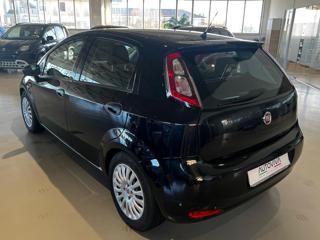 FIAT Punto usata, con Chiusura centralizzata