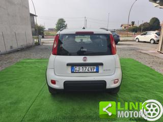 FIAT Panda usata 5