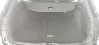 FORD Focus usata, con Servosterzo