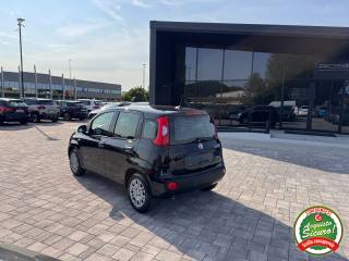 FIAT Panda usata, con Cruise Control