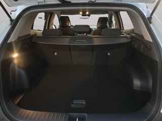KIA Sportage usata, con Controllo trazione