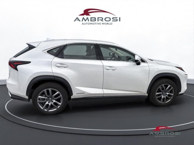 LEXUS NX 300h usata 4