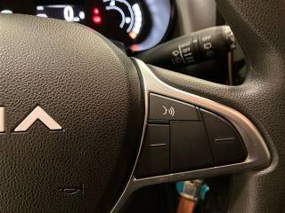 DACIA Spring usata 19