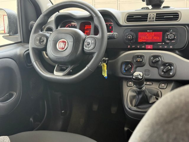 FIAT Panda usata 21
