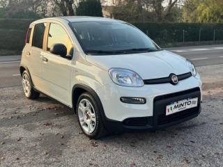FIAT Panda usata, con Alzacristalli elettrici