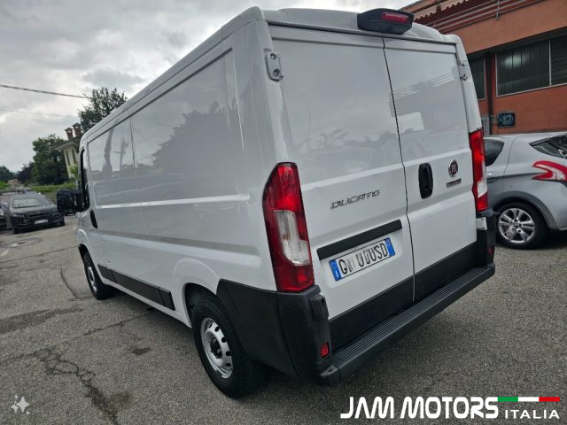 FIAT usata 3