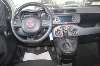 FIAT Panda usata, con Immobilizzatore elettronico