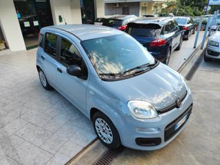 FIAT Panda usata, con Antifurto