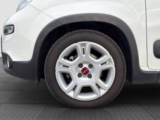 FIAT Panda usata 15