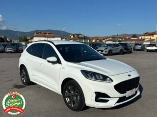 FORD Kuga 1.5 EcoBoost 150 CV 2WD ST-Line X