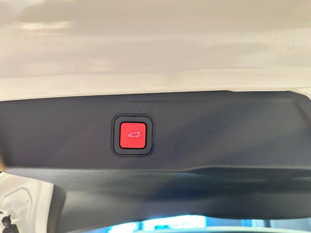 JEEP Avenger usata, con Fendinebbia