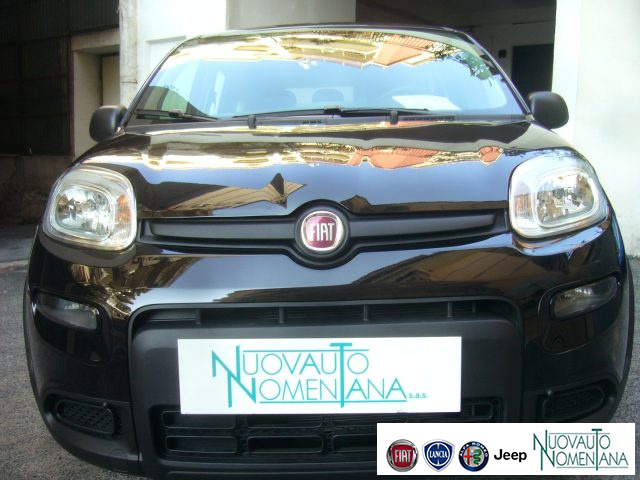 FIAT Panda usata, con Alzacristalli elettrici