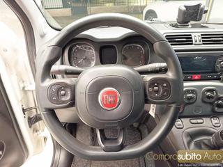 FIAT Panda usata 19