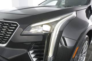 CADILLAC XT4 usata 16
