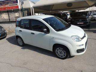 FIAT Panda usata, con Climatizzatore
