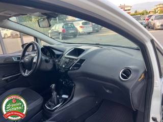 FORD Fiesta usata, con Antifurto