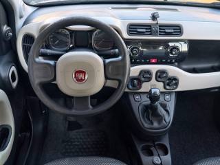 FIAT Panda usata, con ESP
