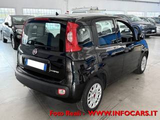 FIAT Panda usata, con Alzacristalli elettrici