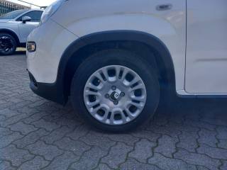 FIAT Panda usata, con Servosterzo