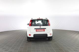 FIAT Panda usata 4