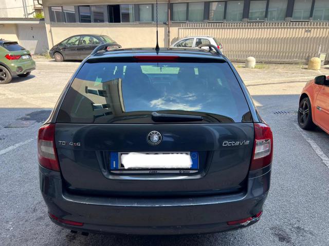 SKODA Octavia usata, con Alzacristalli elettrici