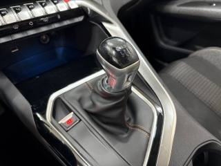 PEUGEOT 3008 usata, con Climatizzatore