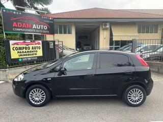 FIAT Punto usata, con Controllo trazione