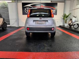FIAT Panda usata 14