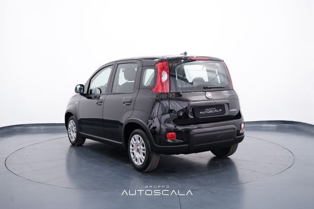 FIAT New Panda usata, con Alzacristalli elettrici