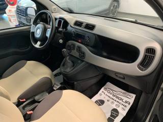 FIAT Panda usata, con Immobilizzatore elettronico