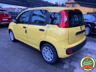 FIAT Panda usata, con Antifurto