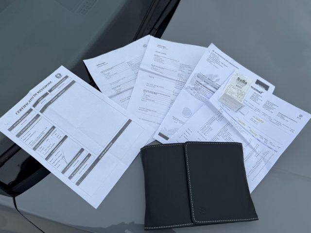 VOLKSWAGEN Golf usata 29