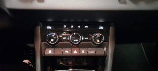 SKODA Karoq usata 25