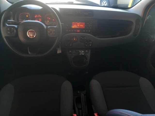 FIAT Panda usata 26