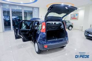 FIAT Panda usata, con Immobilizzatore elettronico