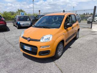 FIAT Panda usata 2