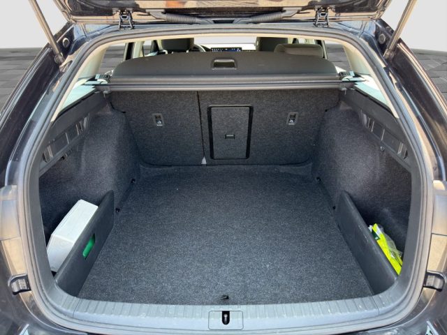 SKODA Octavia usata 13