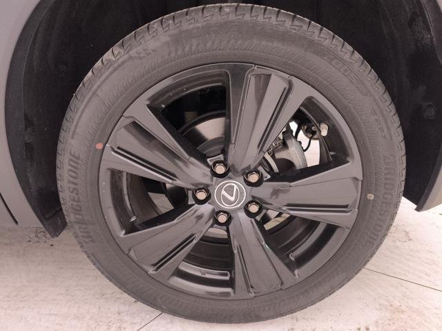 LEXUS UX 250h usata, con Autoradio digitale