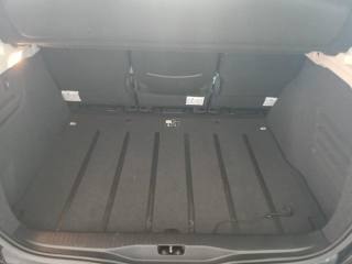 RENAULT Scenic usata, con Fendinebbia