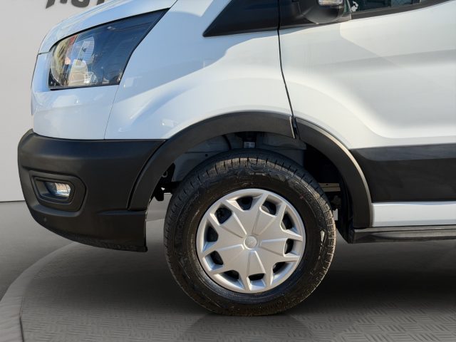 FORD Transit usata 18