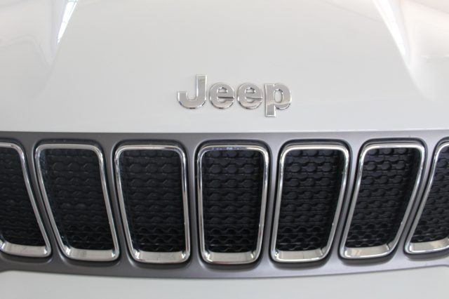 JEEP Renegade usata, con Bracciolo